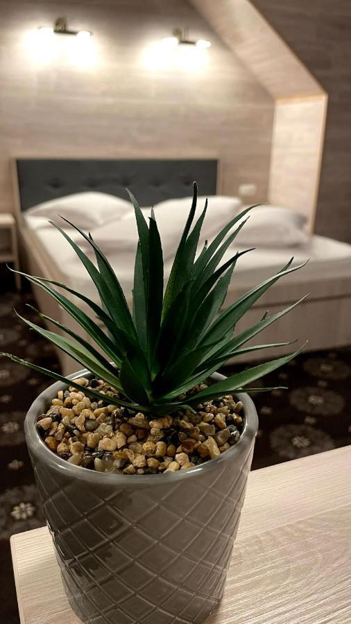 Royal Bucovina Residence Adults Only-Self Check-In Campulung Moldovenesc Ngoại thất bức ảnh